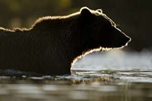 USA, North America, Alaska