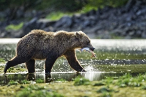 USA, North America, Alaska