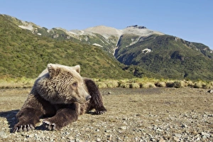 USA, North America, Alaska