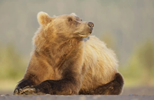 USA, North America, Alaska