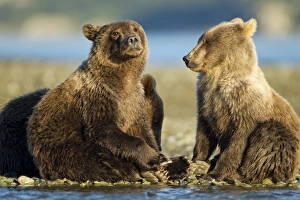 USA, North America, Alaska