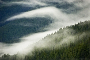USA, North America, Alaska