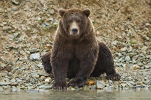 USA, North America, Alaska