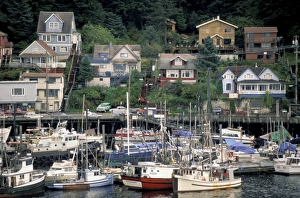 USA, North America, Alaska