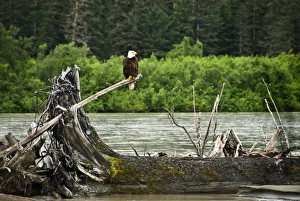 USA, North America, Alaska