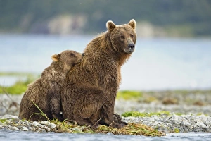 USA, North America, Alaska