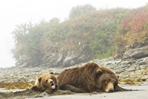 USA, North America, Alaska