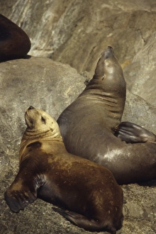 USA, North America, Alaska