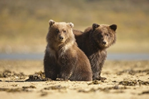 USA, North America, Alaska