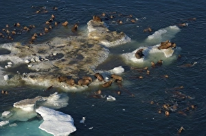 Images Dated 25th July 2006: USA, North America, Alaska