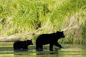 USA, North America, Alaska
