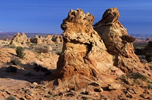 USA, North America, Arizona