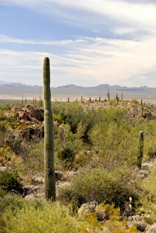USA, North America, Arizona