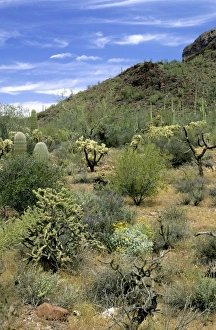 USA, North America, Arizona