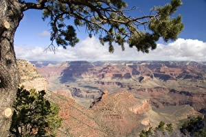 Images Dated 23rd March 2009: USA, North America, Arizona