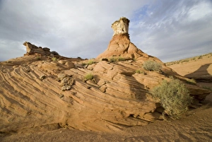 Images Dated 14th June 2006: USA, North America, Arizona