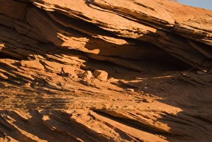 Images Dated 12th February 2009: USA, North America, Arizona