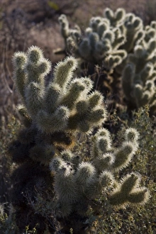 USA, North America, Arizona