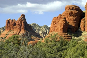 Images Dated 15th January 2006: USA, North America, Arizona