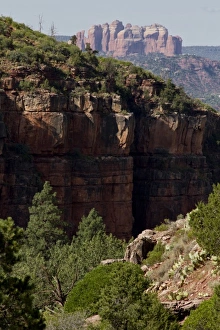 Images Dated 22nd July 2010: USA, North America, Arizona