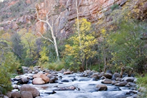 Images Dated 13th November 2007: USA, North America, Arizona