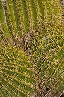 USA, North America, Arizona