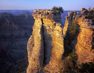 Images Dated 4th August 2010: USA, North America, Arizona