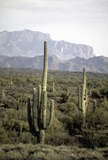 USA, North America, Arizona