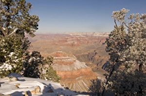 Images Dated 11th February 2009: USA, North America, Arizona