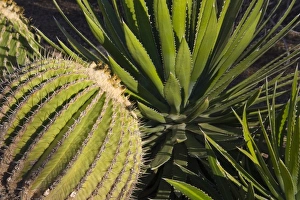 USA, North America, Arizona