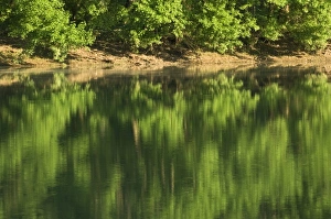 Images Dated 18th April 2006: USA, North America, Arkansas