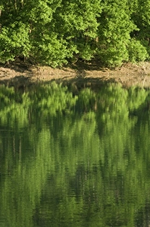 Images Dated 18th April 2006: USA, North America, Arkansas