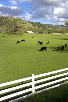 Images Dated 26th March 2007: USA, North America, California