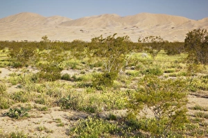 Images Dated 13th April 2011: USA, North America, California
