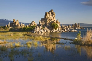 Images Dated 13th June 2006: USA, North America, California