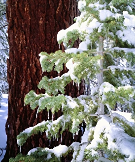 USA, North America, California