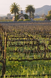 Images Dated 9th March 2009: USA, North America, California