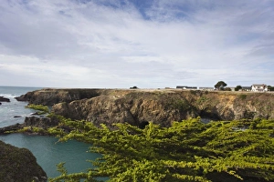Images Dated 1st January 2011: USA, North America, California