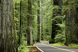 Images Dated 30th March 2005: USA, North America, California