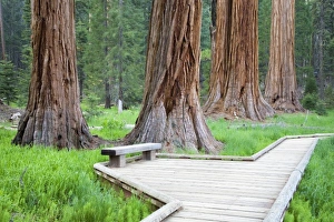 Images Dated 8th June 2006: USA, North America, California