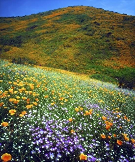 USA, North America, California