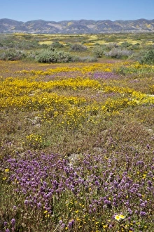 Images Dated 3rd April 2011: USA, North America, California