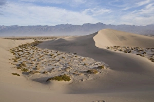 Images Dated 3rd January 2009: USA, North America, California