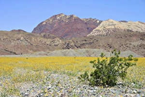 USA, North America, California