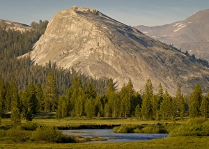 Images Dated 30th June 2008: USA, North America, California