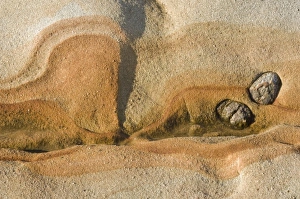 Images Dated 3rd December 2008: USA, North America, California