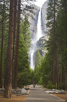 Images Dated 7th June 2006: USA, North America, California