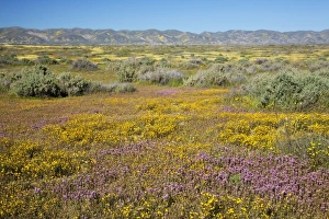 Images Dated 3rd April 2011: USA, North America, California