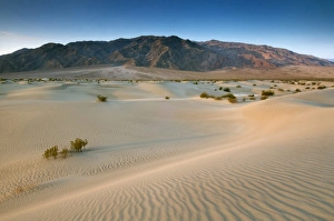 Images Dated 9th June 2007: USA, North America, California