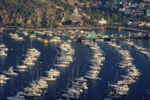 Images Dated 28th September 2008: USA, North America, California